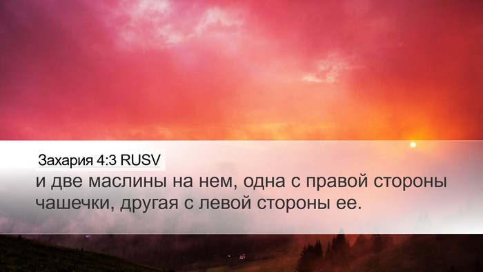 Захария 4:3 RUSV Desktop Wallpaper - и две маслины на нем, одна с - Desktop Bible Verse Wallpaper