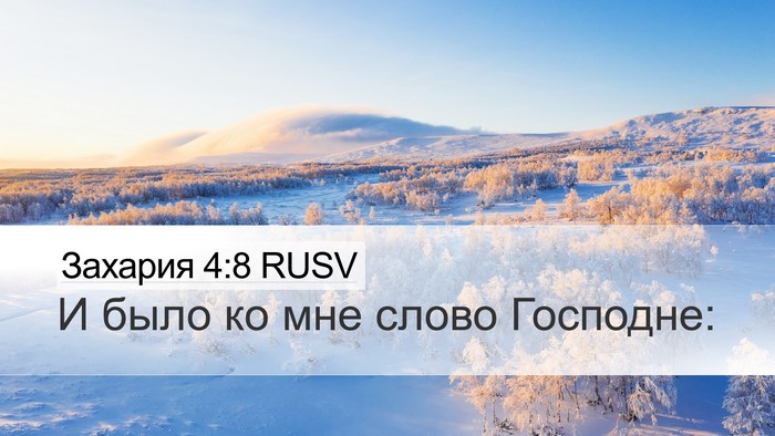Захария 4:8 RUSV Bible Verse Image