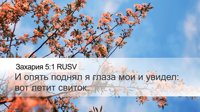 Захария 5:1 RUSV Bible Verse Image