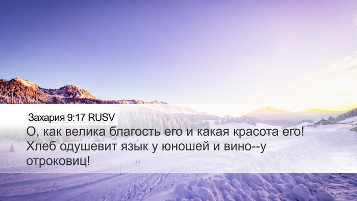 Захария 9:17 RUSV Bible Verse Image