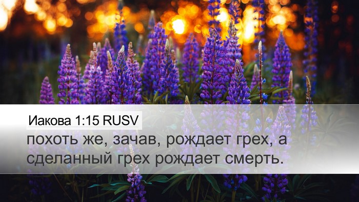Иакова 1:15 RUSV Bible Verse Image