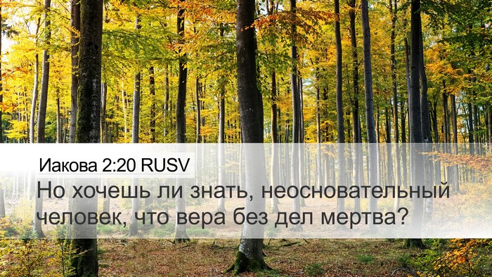 Иакова 2:20 RUSV Bible Verse Image