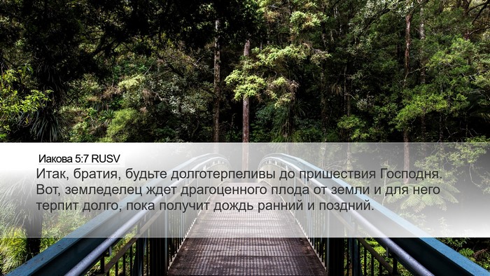 Иакова 5:7 RUSV Bible Verse Image