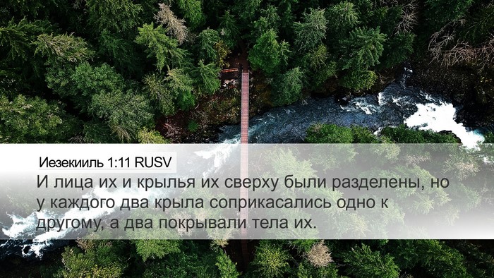 Иезекииль 1:11 RUSV Bible Verse Image