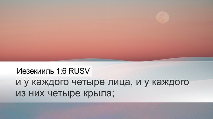 Иезекииль 1:6 RUSV Bible Verse Image