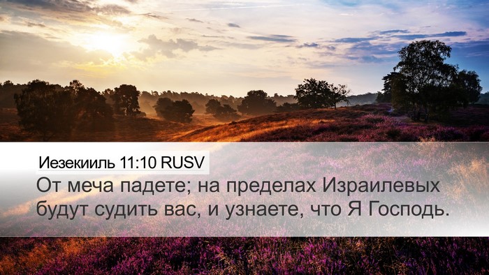 Иезекииль 11:10 RUSV Bible Verse Image
