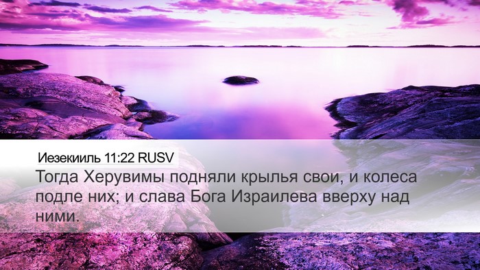Иезекииль 11:22 RUSV Bible Verse Image