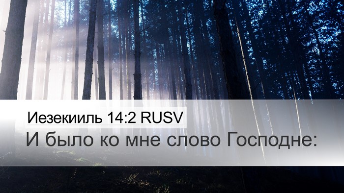 Иезекииль 14:2 RUSV Bible Verse Image