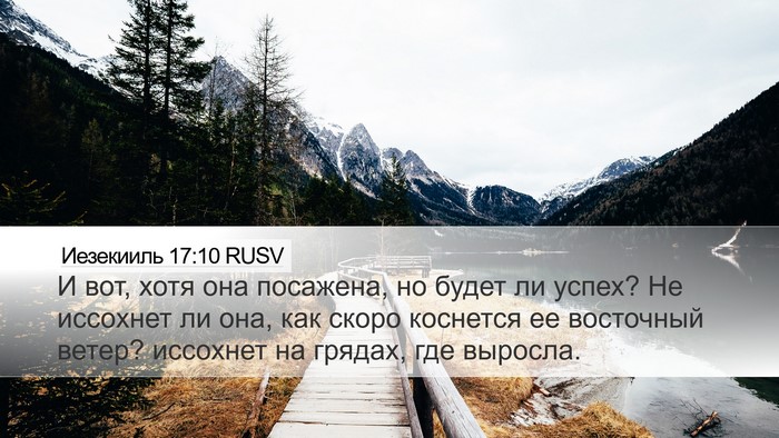 Иезекииль 17:10 RUSV Bible Verse Image