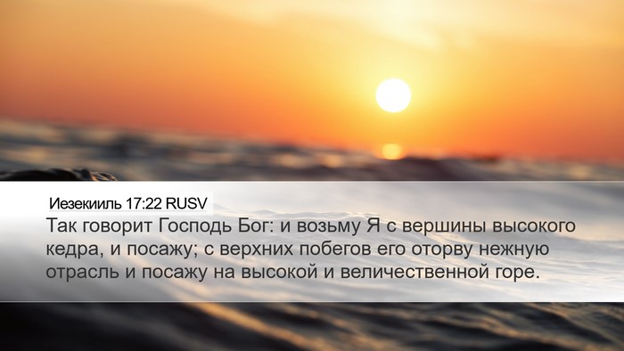 Иезекииль 17:22 RUSV Bible Verse Image