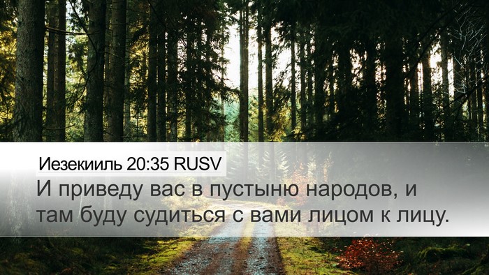 Иезекииль 20:35 RUSV Bible Verse Image