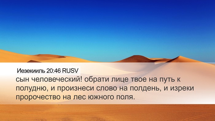 Иезекииль 20:46 RUSV Bible Verse Image