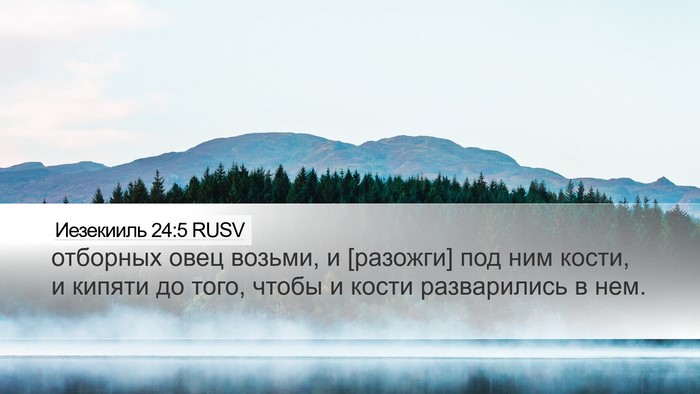 Иезекииль 24:5 RUSV Desktop Wallpaper - отборных овец возьми, и - Desktop Bible Verse Wallpaper