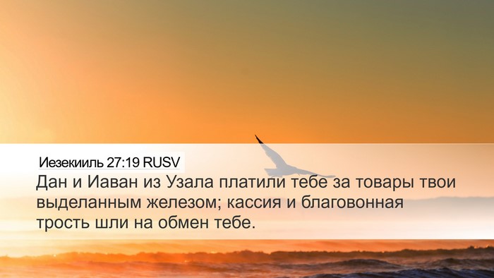 Иезекииль 27:19 RUSV Bible Verse Image