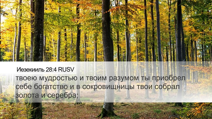 Иезекииль 28:4 RUSV Bible Verse Image