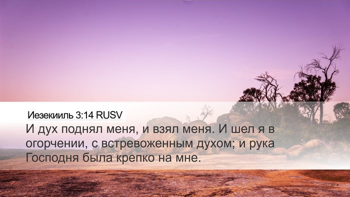 Иезекииль 3:14 RUSV Bible Verse Image
