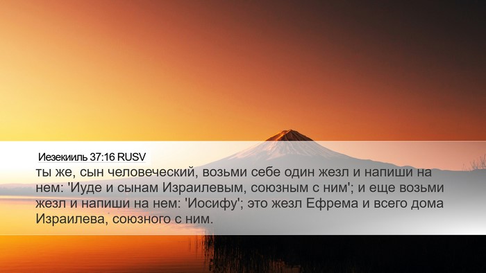 Иезекииль 37:16 RUSV Bible Verse Image