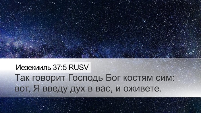 Иезекииль 37:5 RUSV Bible Verse Image