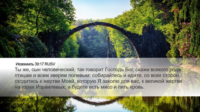 Иезекииль 39:17 RUSV Bible Verse Image