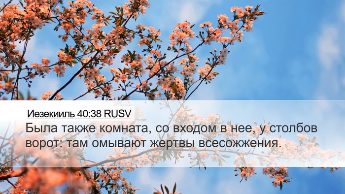 Иезекииль 40:38 RUSV Bible Verse Image