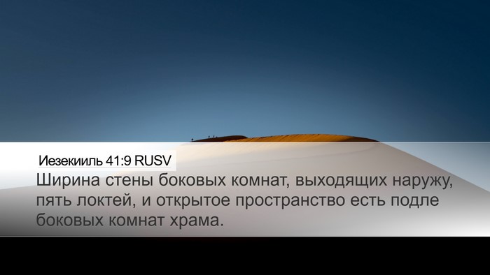 Иезекииль 41:9 RUSV Bible Verse Image