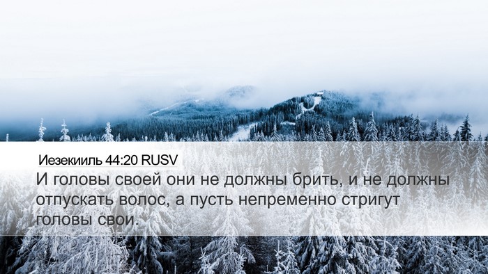 Иезекииль 44:20 RUSV Bible Verse Image