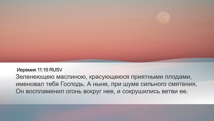 Иеремия 11:16 RUSV Bible Verse Image