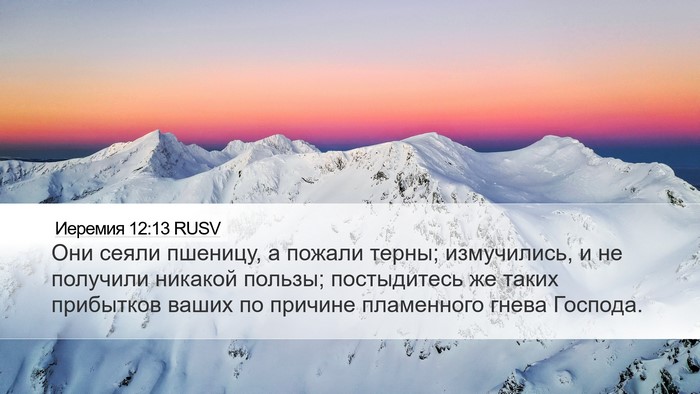 Иеремия 12:13 RUSV Bible Verse Image