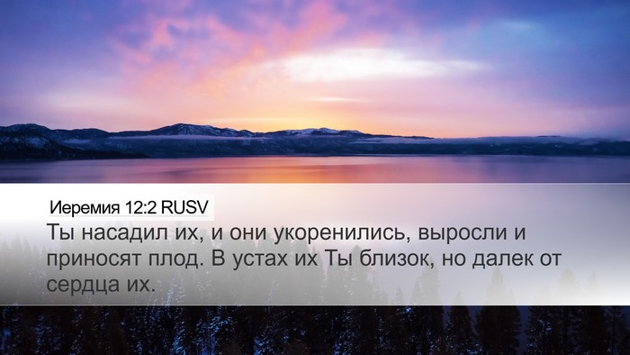 Иеремия 12:2 RUSV Bible Verse Image