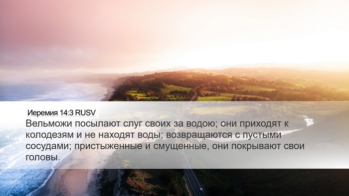 Иеремия 14:3 RUSV Bible Verse Image