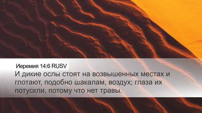 Иеремия 14:6 RUSV Bible Verse Image