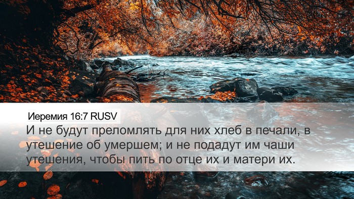 Иеремия 16:7 RUSV Bible Verse Image
