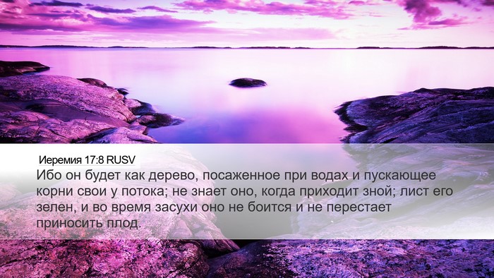 Иеремия 17:8 RUSV Bible Verse Image