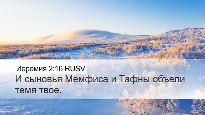 Иеремия 2:16 RUSV Bible Verse Image