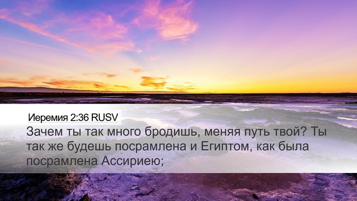 Иеремия 2:36 RUSV Bible Verse Image