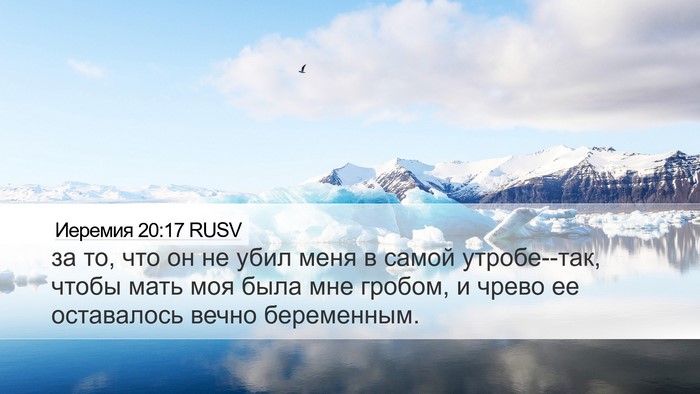 Иеремия 20:17 RUSV Bible Verse Image