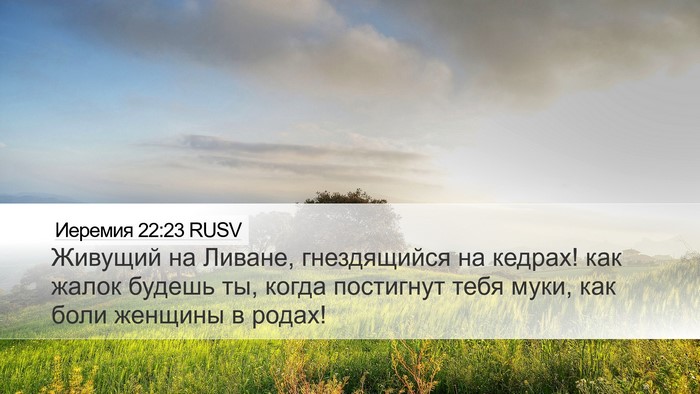 Иеремия 22:23 RUSV Bible Verse Image