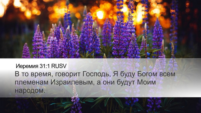 Иеремия 31:1 RUSV Bible Verse Image