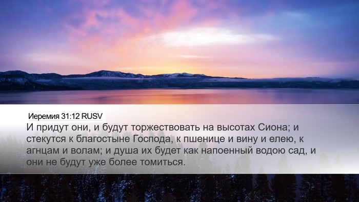 Иеремия 31:12 RUSV Bible Verse Image