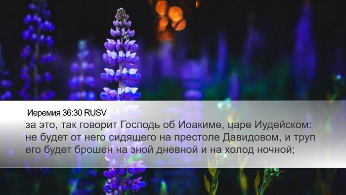 Иеремия 36:30 RUSV Bible Verse Image