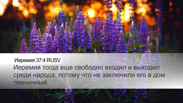 Иеремия 37:4 RUSV Desktop Wallpaper - Иеремия тогда еще свободно - Desktop Bible Verse Wallpaper