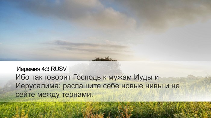 Иеремия 4:3 RUSV Bible Verse Image