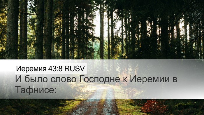 Иеремия 43:8 RUSV Desktop Wallpaper - И было слово Господне к - Desktop Bible Verse Wallpaper