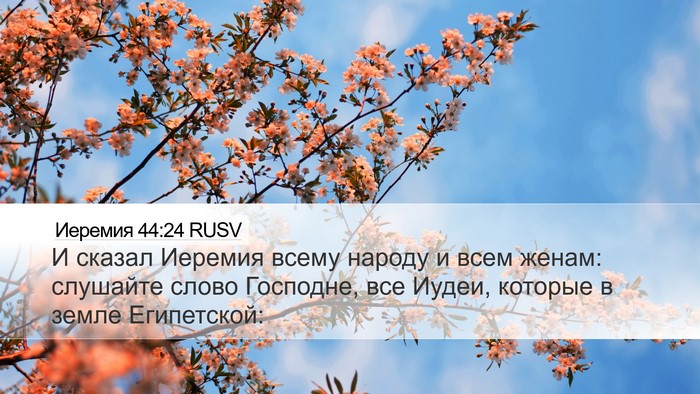Иеремия 44:24 RUSV Bible Verse Image