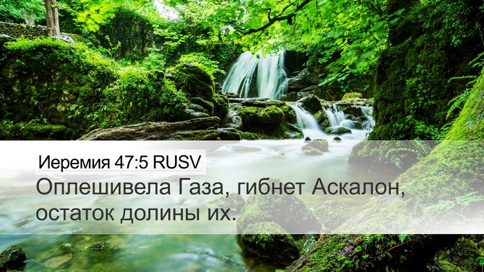 Иеремия 47:5 RUSV Bible Verse Image