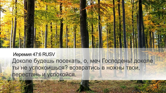 Иеремия 47:6 RUSV Bible Verse Image
