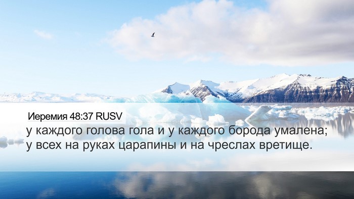 Иеремия 48:37 RUSV Bible Verse Image
