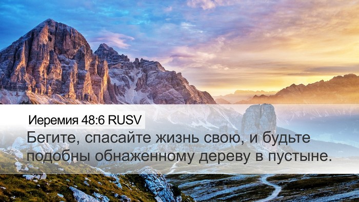 Иеремия 48:6 RUSV Bible Verse Image