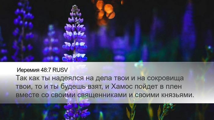 Иеремия 48:7 RUSV Bible Verse Image
