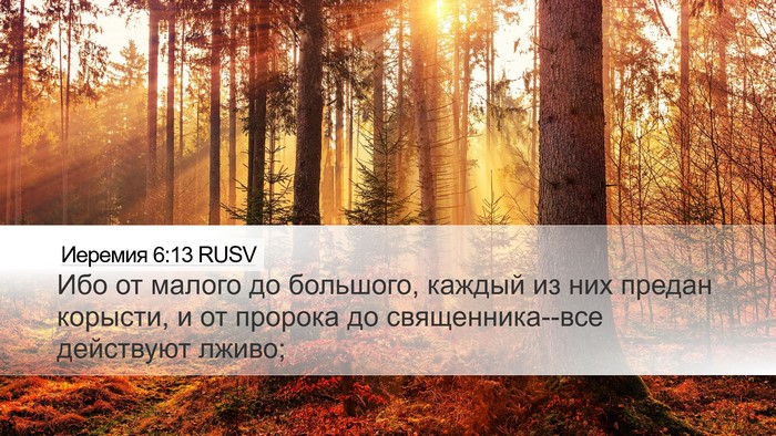 Иеремия 6:13 RUSV Bible Verse Image